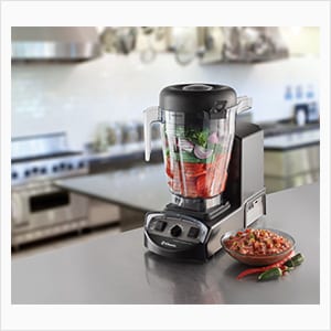 Vitamix XL