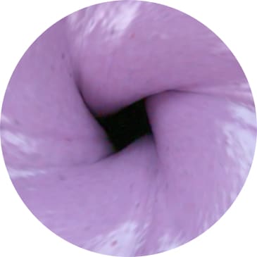 Unique Vortex