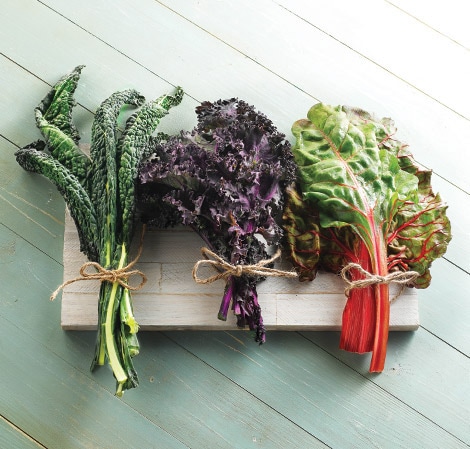Farmers Market Shopping Guide