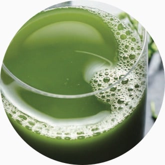 Commercial Blending Technique Juicing