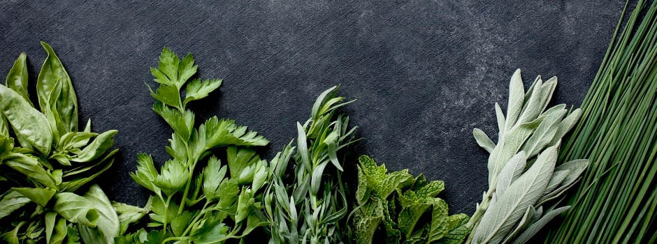 vegetables and herbs article main.jpg	