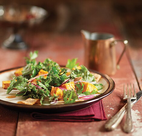 Autumn Toasted Pita and Kale Salad Recipe