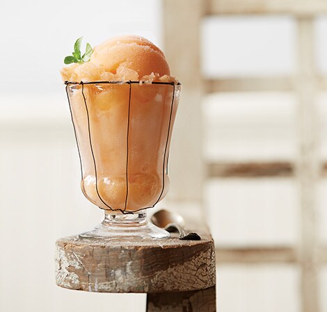 Fruit Sorbet Recipe